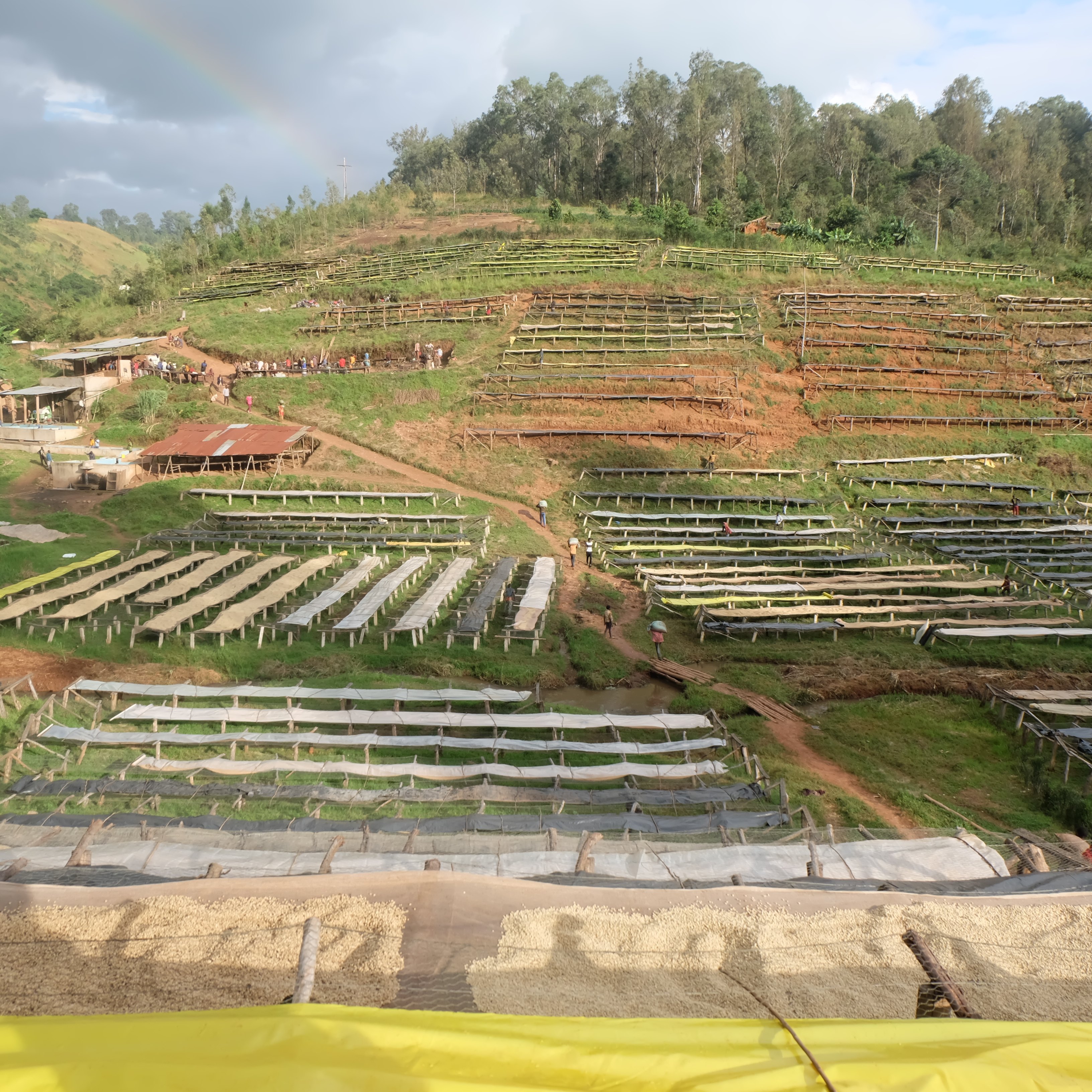 Burundi Busasa Washed(23/24年クロップ) | ORIGIN COUNTRIES for